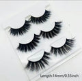 Lashes